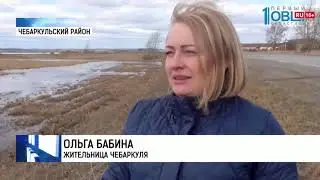 В Кундравы прилетела стая лебедей