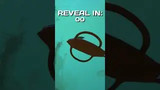 Is this VANILLA or MODDED Subnautica?