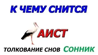 Сонник К чему снится аист значение сна