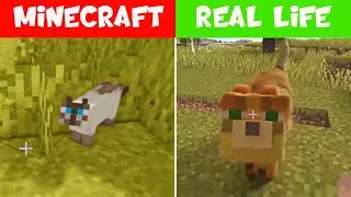 Minecraft vs REAL LIFE! - Animals!