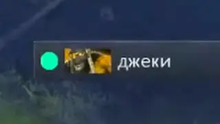 тест на личность дотера