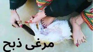Educational Purpose vlog Girl slaughtered Hen