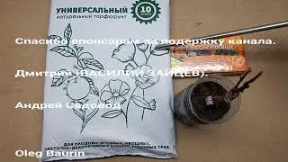Подбираю грунт для саженцев винограда.