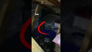 Scary things hidden in photos Part#21 