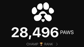 PAWS AIRDROP MINING PROCESS || HOW TO MINE FREE PAWS TOKENS