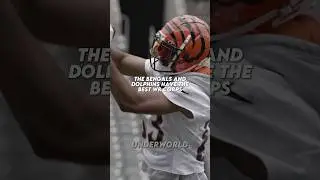 Speaking Fax Until The Bengals Win The Super Bowl