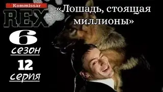 Комиссар Рекс, 6 сезон, 12 серия «Лошадь, стоящая миллионы»