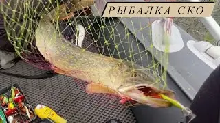 Рыбалка на спиннинг 2024 / Рыбалка на блесну