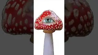 The Deadly Beauty of Miss Amanita | Support Me!