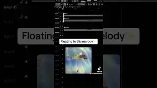 Floating to this melody✨ #producer #flstudio