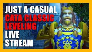 Duskwood! 🟡 Cata Holy Paladin Live Stream