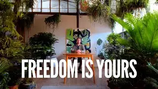 The Real Meaning of Freedom