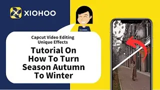 Capcut Video Editing - Tutorial On How To Turn season autumn to winter