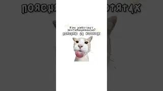 Как работают эксгибиционизм?