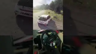 Rallying in Germany!