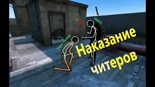 Читер (Стрим-Снайпер) DAYZ