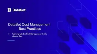 DataSet Best Practices Series: Cost Management Tool