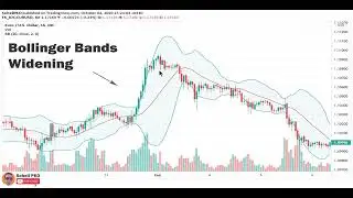 Bollinger Bands Trading Strategy In Forex, Stocks, Bitcoin 