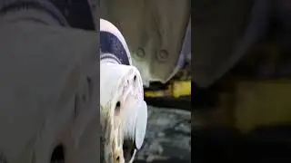ЗАБИЛ НА ТО? ПЛАТИ! 
