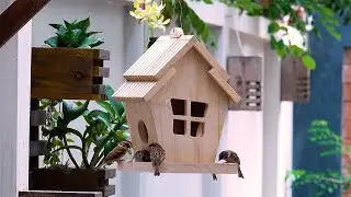 Build Easy wooden Bird House and Bird Feeder For Your Backyard