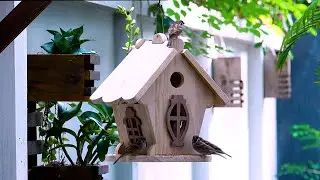 Build Simple Castle Wooden Bird House and Bird Feeder