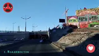 ИНТЕРВЬЮ КОТА СОЛОМЕННОГО