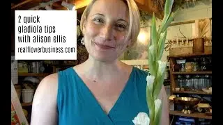 2 Quick Gladiola Tips