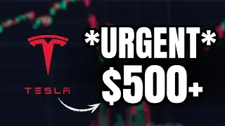 Tesla Stock Short Squeeze is STARTING..