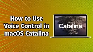 How to Use Safari with Voice Control in macOS Catalina