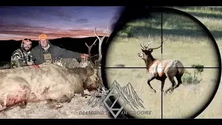 Killshot Compilation | Hunting and Fishing 2021 | 4K