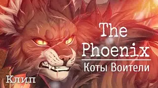 Клип | The Phoenix | Коты Воители