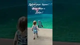 🌞Всем мира и добра🙏🐬