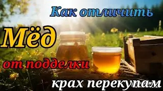 Как отличить мёд от подделки? Разоблачение мифа!