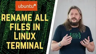 Linux command line tricks How to rename all files in Ubuntu terminal