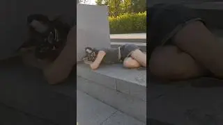прогулочка~ 