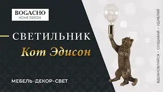 BOGACHO. Кот Эдисон