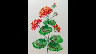 Как нарисовать цветок Герань масляной пастелью.