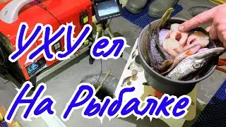 Уха Ассорти:из Щуки,Подлещика,Окуня и Ерша.