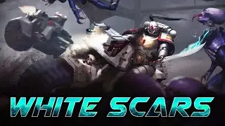 THE WHITE SCARS : TONIGHT ON TOP GEAR! | Beginner to Expert Podcast