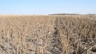 Midwest Farmers Cope With Drought.mpg