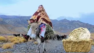The life of a Village Girl in Iran | Shepherding and Handicrafts | Iranian family