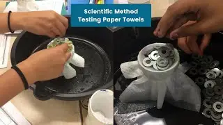 Understanding the Scientific Method: Paper Towel test experiment