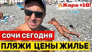 СОЧИ СЕГОДНЯ | Сколько НУЖНО ДЕНЕГ? Пляжи ЦЕНЫ | Олимпийский Парк | Отель Зелёный попугай