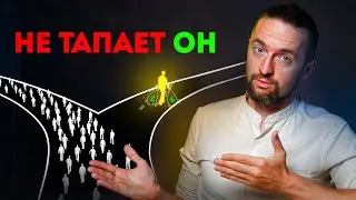 Сколько вы потеряли на Hamster Kombat, Blum, TapSwap и тд