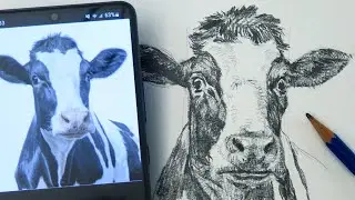 Draw and Shade a Cow Step by Step