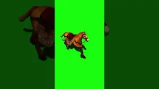 Running Single Horse Green Screen 