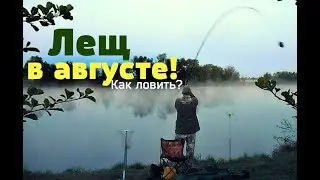 Как ловить леща в августе?Секреты ловли леща в августе!