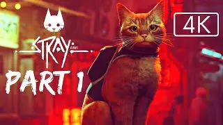 Stray Gameplay no commentary | Stray Gameplay 4K(4K 60FPS)