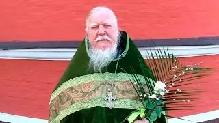 Протоиерей Димитрий Смирнов. Слово в преддверии Пасхи