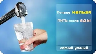 Why can not you drink water during meals